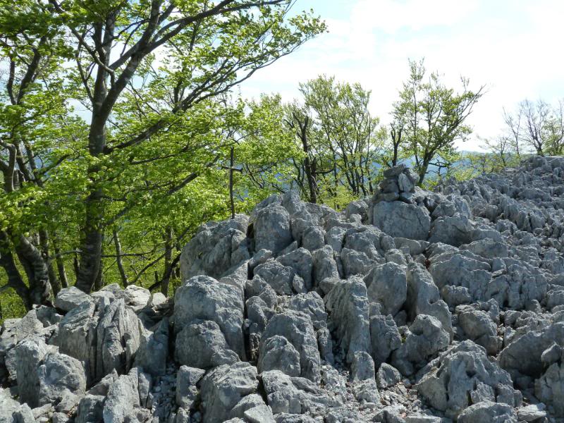 Foto Travesía Mañanera: Otsabio [Gipuzkoa]