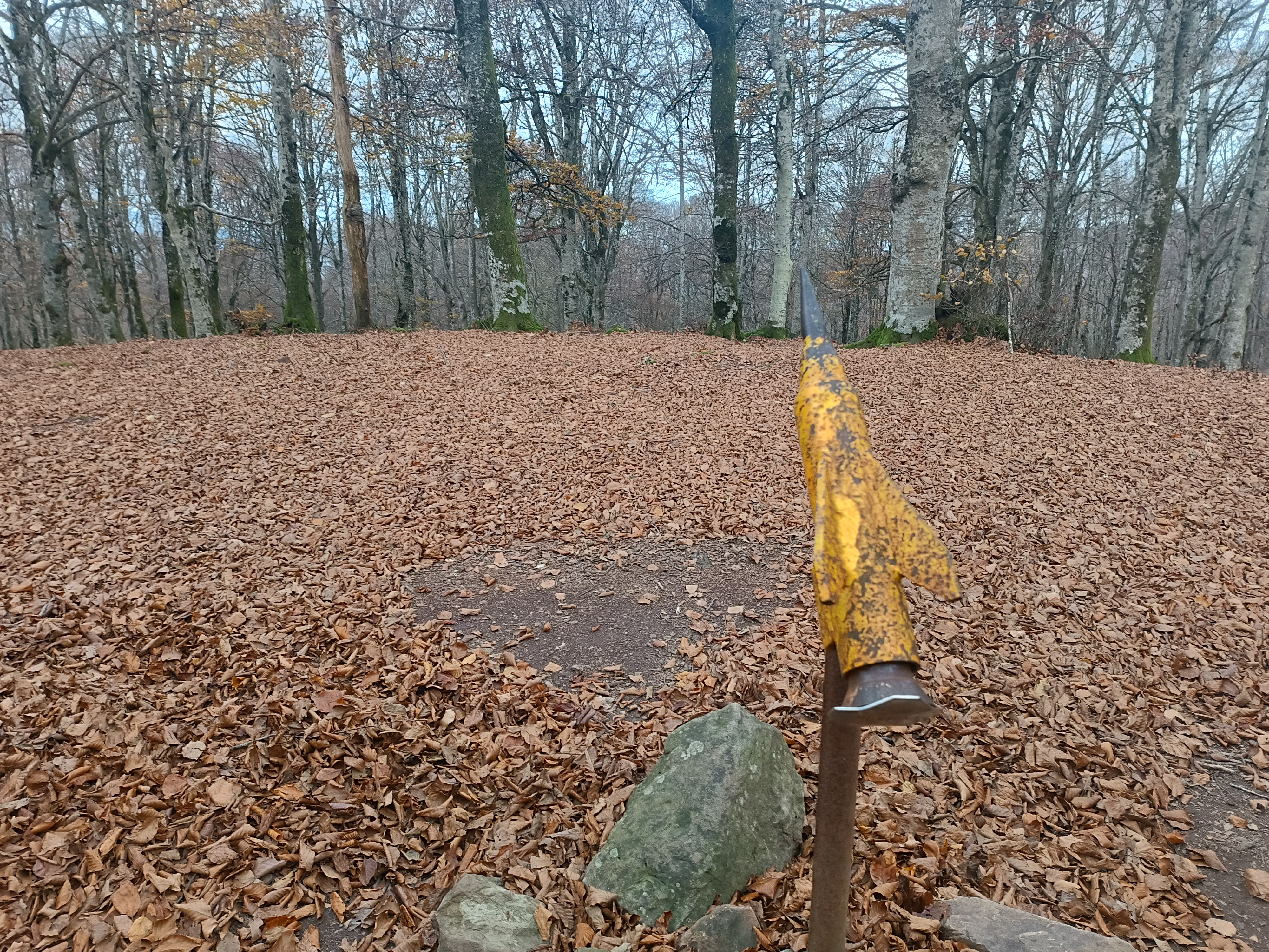 Foto Sarria - Burbonas (934) - Astaitz (904) -Txintxularra (845) -  Puerto de Altube.-Araba. Mañanera