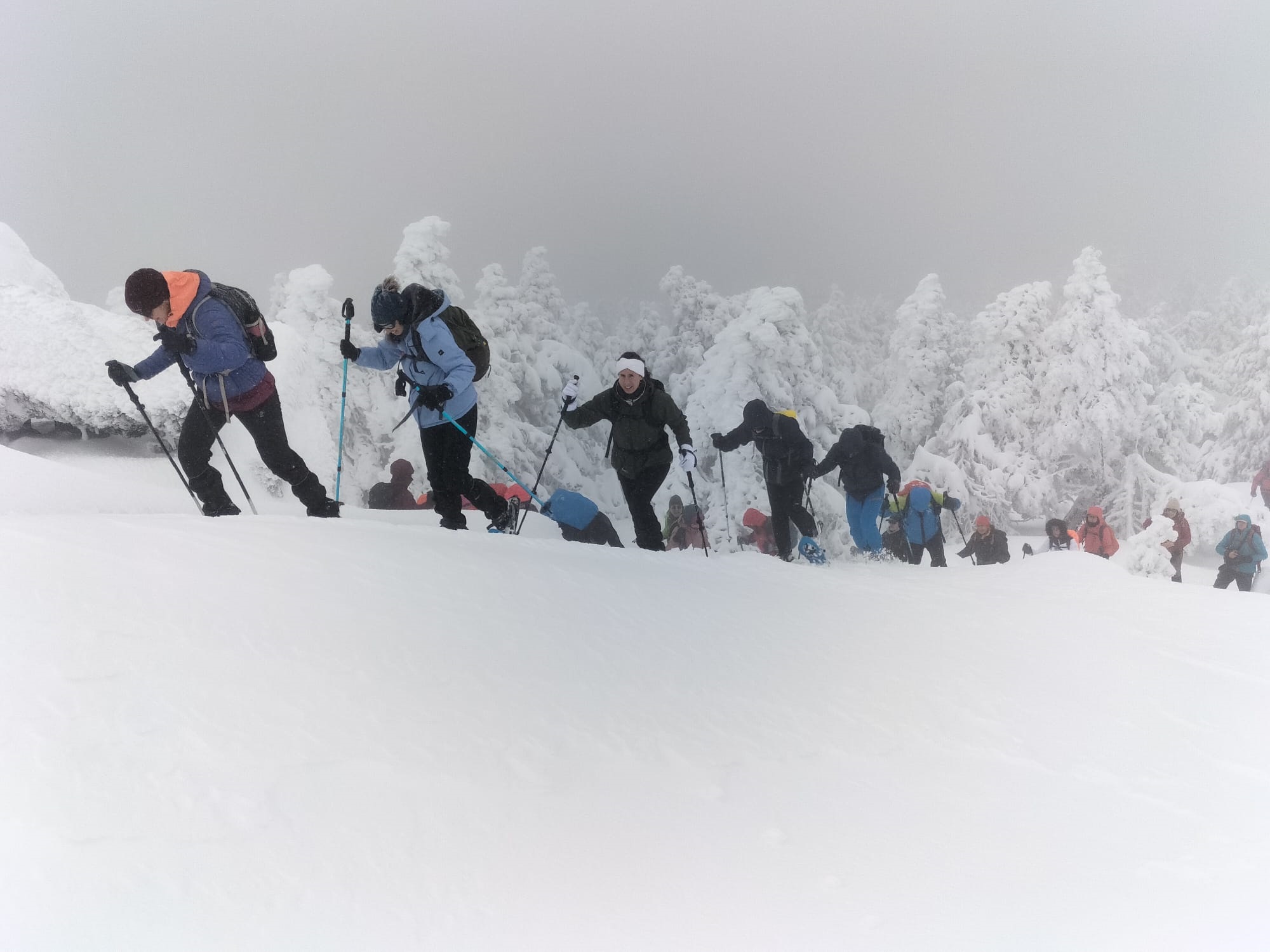 Foto  ESQUI DE MONTAÑA-RAQUETAS Y ESQUI DE FONDO EN LINZA (28 de febrero)
