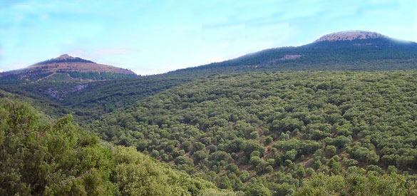 Foto Travesía: Muela (1372m) (Burgos) Todo el día. 