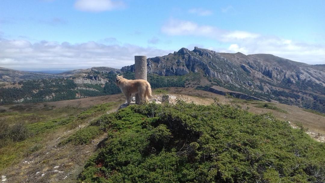 Foto Portillo del busto - Galdampio (1.210) - Miraveche ( Montes Obarenes)-Burgos. Mañanera