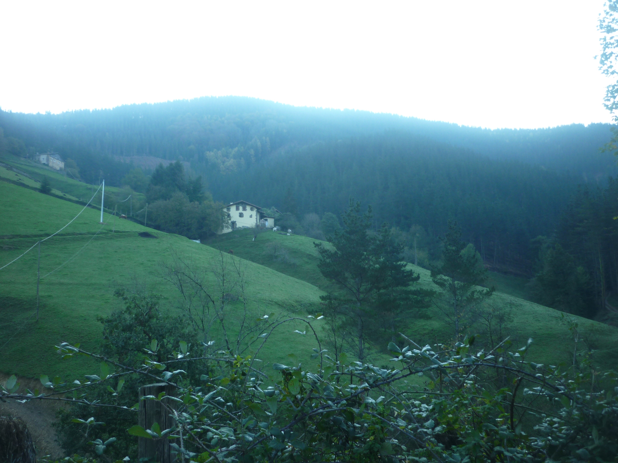 Foto Dia 2-Travesía Eibar – Topinburu (590 m) - Soraluze (Gipuzkoa) Mañanera