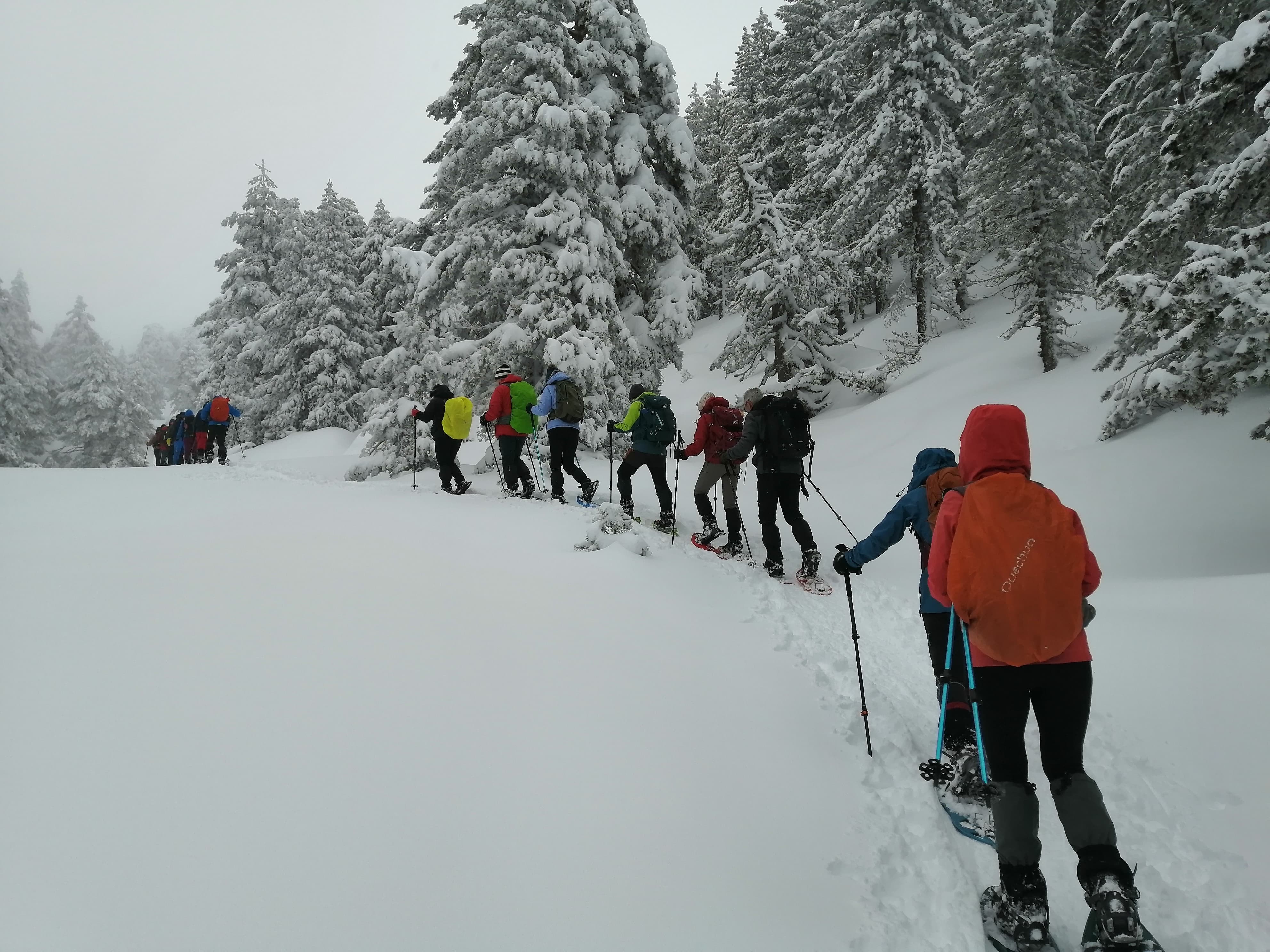 Foto Salida con Raquetas o Esquí de Fondo (por libre) – ESTE SÁBADO 21 DE FEBRERO 