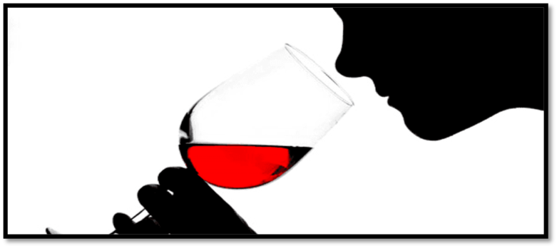 Foto Cata Especial de Vinos