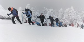 RAQUETAS Y ESQUI DE FONDO EN LINZA (28 de febrero)
