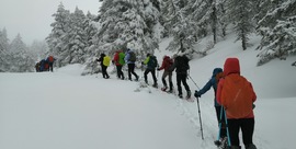 Salida con Raquetas o Esquí de Fondo (por libre) – ESTE SÁBADO 21 DE FEBRERO 