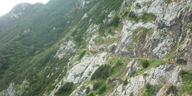  - MADEIRA - del 5 al 12  ( 7 noches)