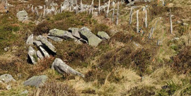 Puerto de Trabakua - Monte Oiz - Garay (Bizkaia) [Mañanera]