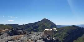 Travesía de día: Pto. Estaca de Trueba- Cubada Grande - Castro valnera - Pico La Miel - Portillo de Lunada [Burgos]