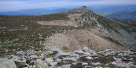 Dia 13- Travesía Molinos de razón – La laguna – Cebollera (2141 m) – La Mesa (2163 m) - Lomos de Orios (Soria - Rioja) Todo el día