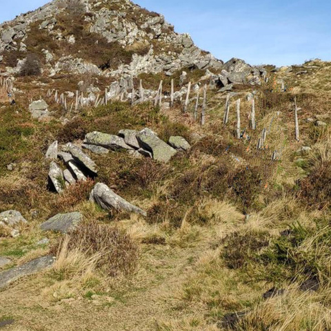 Puerto de Trabakua - Monte Oiz - Garay (Bizkaia) [Mañanera]