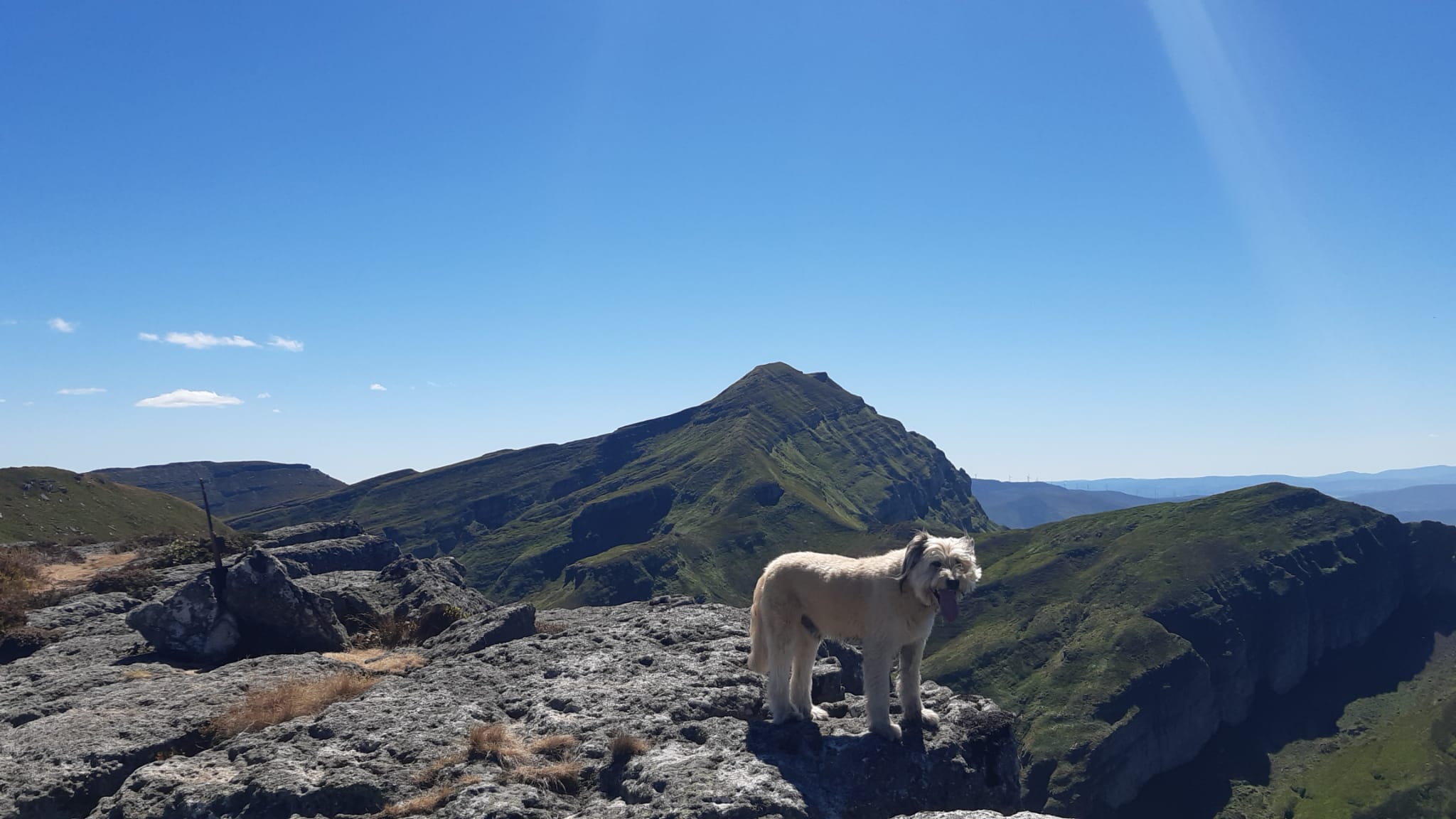 Foto Travesía de día: Pto. Estaca de Trueba- Cubada Grande - Castro valnera - Pico La Miel - Portillo de Lunada [Burgos]