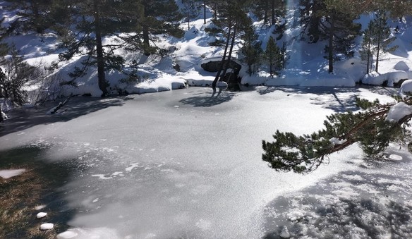 Foto Salida a Punto de Nieve Santa Inés - Sábado 7 de febrero