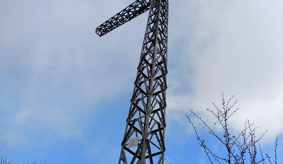 Foto Día 1-ZALDIARAN (978) - Araba. Mañanera