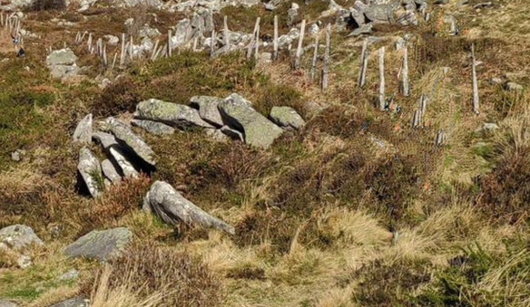 Foto Puerto de Trabakua - Monte Oiz - Garay (Bizkaia) [Mañanera]