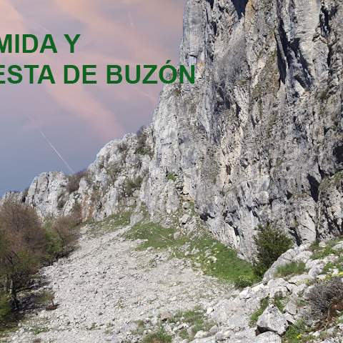 PUESTA BUZÓN  Y COMIDA