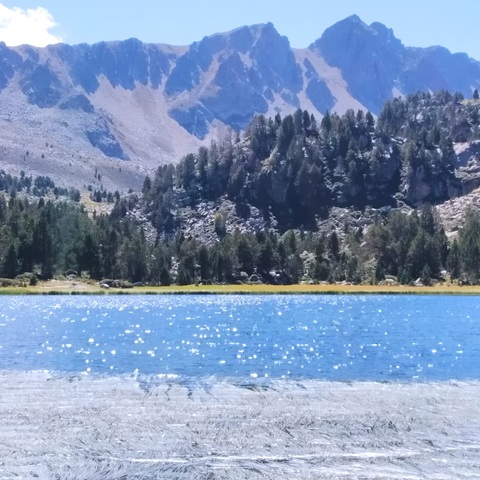 EXCURSIÓN EXTRAORDINARIA A ANDORRA
QUEDAN 3 PLAZAS DISPONIBLES